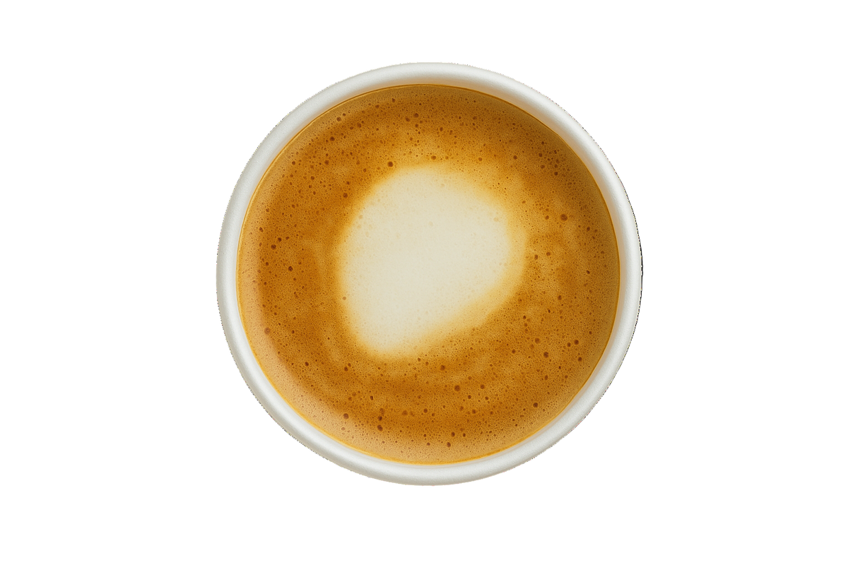 Cortado white cup on a light gray background